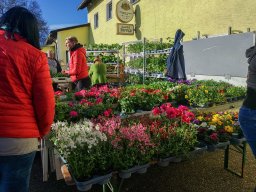 Markt 27.04.2025