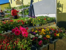 Markt 27.04.2025