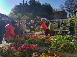 Markt 27.04.2025