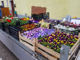 Markt 29.03.2026