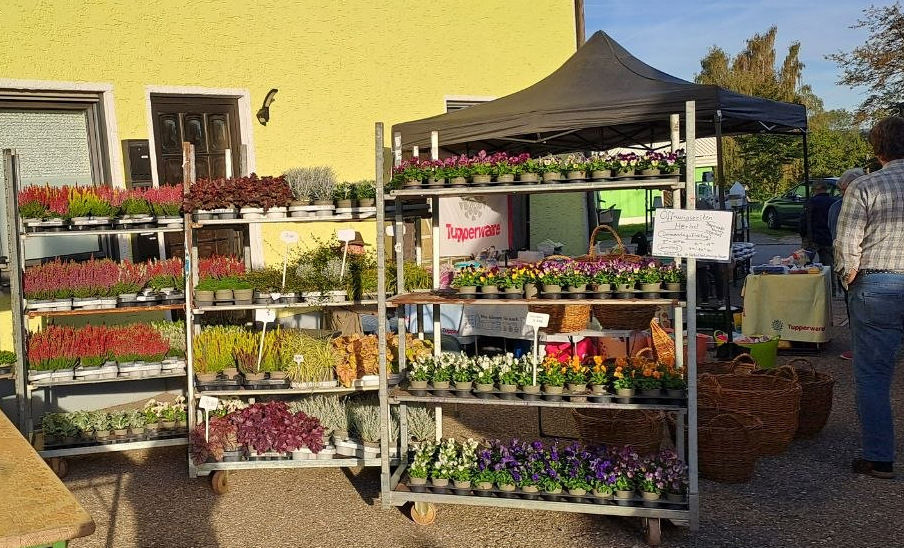 Markt_2026.03.29