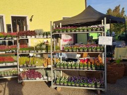 Markt 27.09.2026