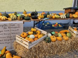 Pallottiner Kürbisverkauf