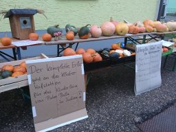 Pallottiner Kürbisverkauf