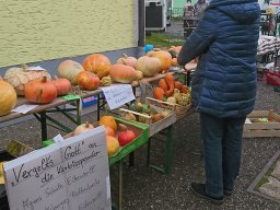 Pallottiner Kürbisverkauf